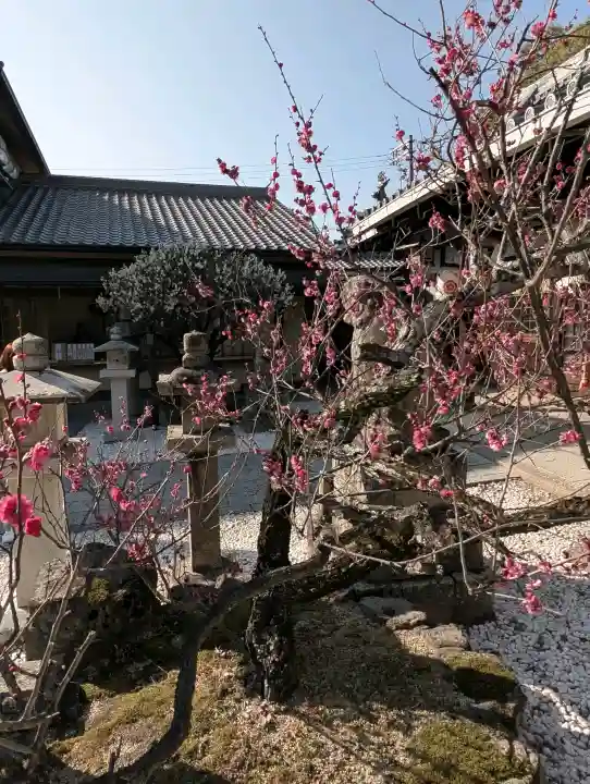 片埜神社の{uncategorized: "未分類", other: "その他", undefined: "問題あり", building: "その他建物", grave: "お墓", sacred_gate: "鳥居", guardian: "狛犬", statue: "像", buddha: "仏像", history: "歴史", nature: "自然", garden: "庭園", animal: "動物", pagoda: "塔", temizu: "手水舎", mountain_gate: "山門・神門", sanctuary: "本殿・本堂", subordinate: "末社・摂社", art: "芸術", scenery: "景色", jizo: "地蔵", ema: "絵馬", goshuin: "御朱印", omikuji: "おみくじ", items: "授与品その他", amulet: "お守り", goshuincho: "御朱印帳", eats: "食事", festival: "お祭り", votive_dance: "神楽", shichigosan: "七五三参", wedding: "結婚式", experience: "体験その他", initially: "初詣", around: "周辺", anti_infection: "感染症対策"}