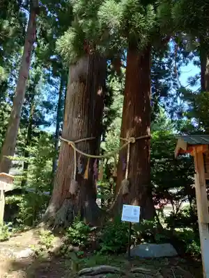 金峯神社(山形県)