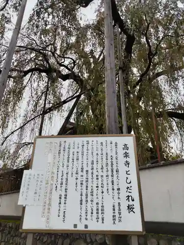 高樂寺の庭園