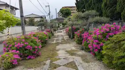 青林院(京都府)