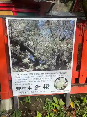 金櫻神社(山梨県)