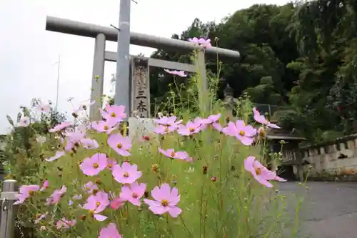 三春大神宮の鳥居