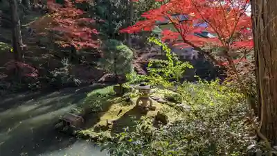 くろ谷 金戒光明寺(京都府)