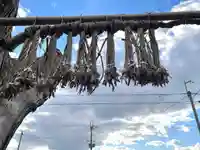 日吉神社(滋賀県)