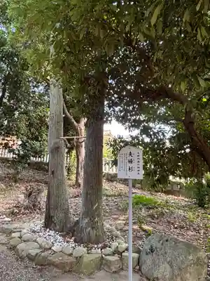 市杵島姫神社(兵庫県)