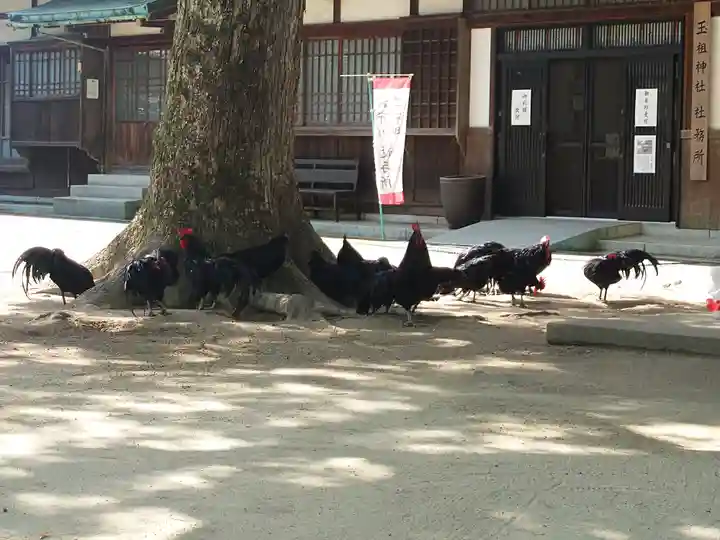 玉祖神社(山口県)