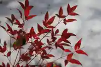 豊景神社の自然