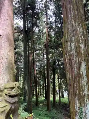 大宮温泉神社(栃木県)