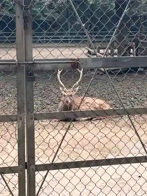 鹿島神宮の{uncategorized: "未分類", other: "その他", undefined: "問題あり", building: "その他建物", grave: "お墓", sacred_gate: "鳥居", guardian: "狛犬", statue: "像", buddha: "仏像", history: "歴史", nature: "自然", garden: "庭園", animal: "動物", pagoda: "塔", temizu: "手水舎", mountain_gate: "山門・神門", sanctuary: "本殿・本堂", subordinate: "末社・摂社", art: "芸術", scenery: "景色", jizo: "地蔵", ema: "絵馬", goshuin: "御朱印", omikuji: "おみくじ", items: "授与品その他", amulet: "お守り", goshuincho: "御朱印帳", eats: "食事", festival: "お祭り", votive_dance: "神楽", shichigosan: "七五三参", wedding: "結婚式", experience: "体験その他", initially: "初詣", around: "周辺", anti_infection: "感染症対策"}