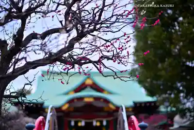亀戸天神社(東京都)