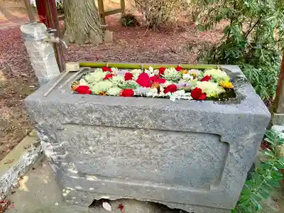 千代ケ岡八幡宮(栃木県)