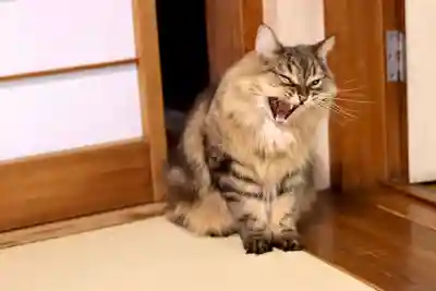 善龍寺(東京都)