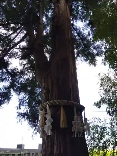 杉原神社(富山県)