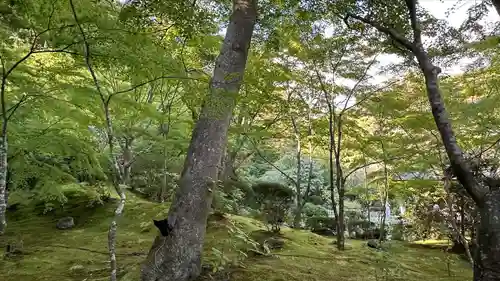 円通院(宮城県)