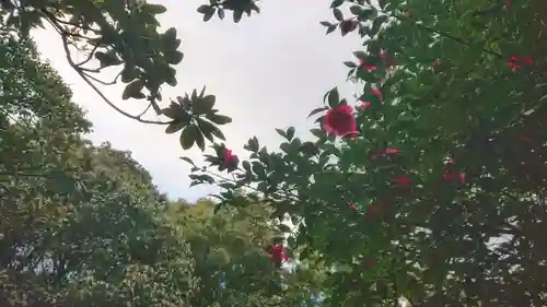 尾張大國霊神社（国府宮）の自然