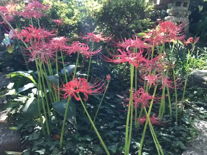 龍眼寺(萩寺)の自然