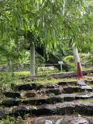 熊野神社の鳥居