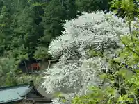 高野山金剛峯寺奥の院(和歌山県)