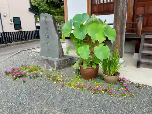 楊谷寺(神奈川県)