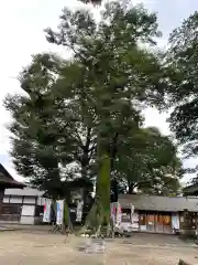 八枝神社の自然