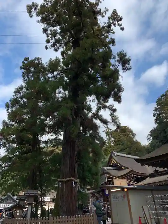 大神神社の自然