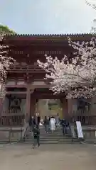 醍醐寺(京都府)