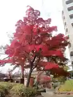 鹿嶋神社(東京都)