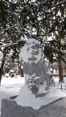 新琴似神社の狛犬