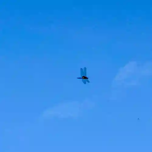 伊勢の国 四天王寺(三重県)