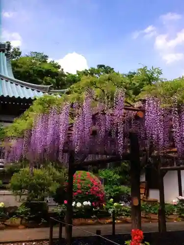 愛染院(東京都)