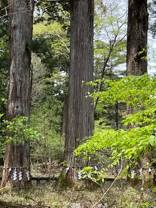 瀧尾神社(日光二荒山神社別宮)(栃木県)
