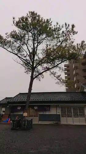 別小江神社の自然