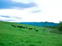 御料地神社(北海道)