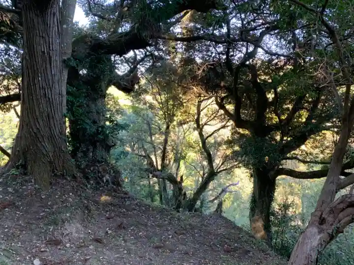 日吉神社の周辺