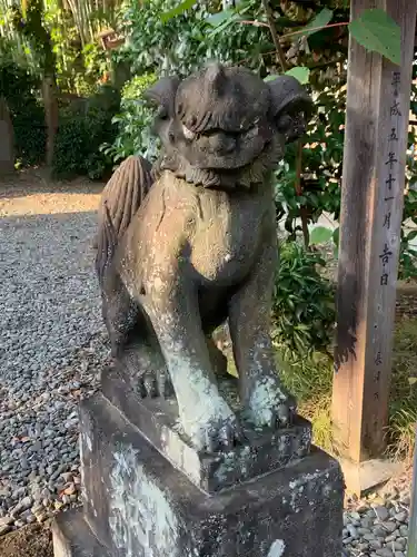 新羽杉山神社の狛犬