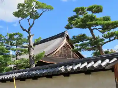 観智院（東寺子院）のその他建物