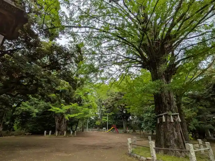 赤坂氷川神社(東京都)