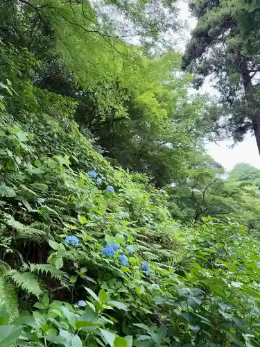 浄智寺(神奈川県)