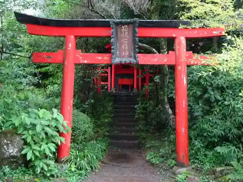 箱根神社の鳥居