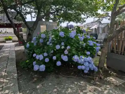 千手院(神奈川県)