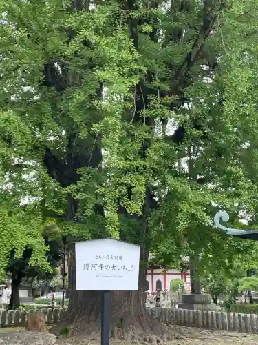 鑁阿寺(栃木県)