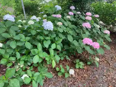 北金目神社(神奈川県)