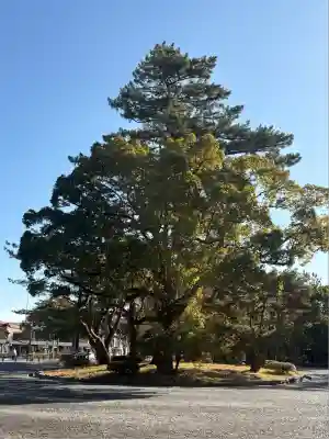 伊勢神宮外宮（豊受大神宮）(三重県)