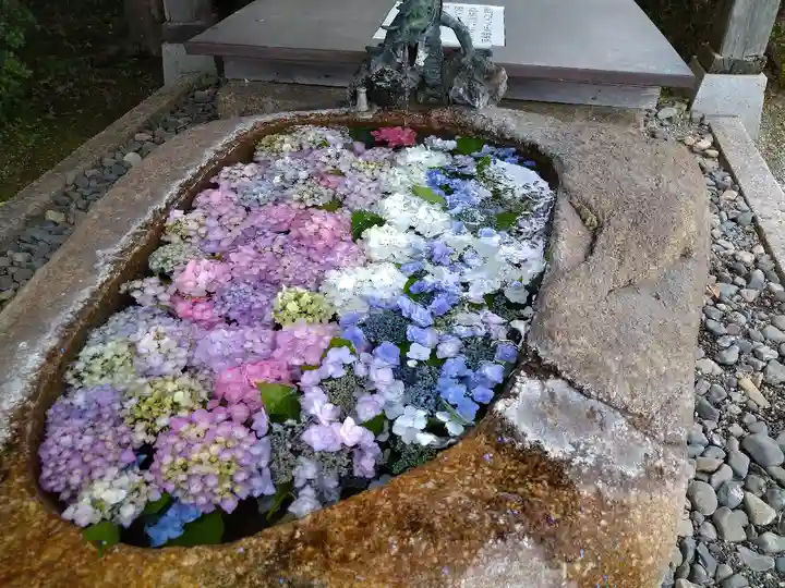 櫟野寺の手水舎