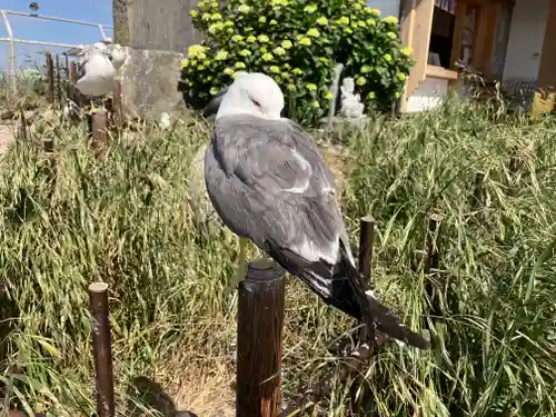 蕪嶋神社(青森県)