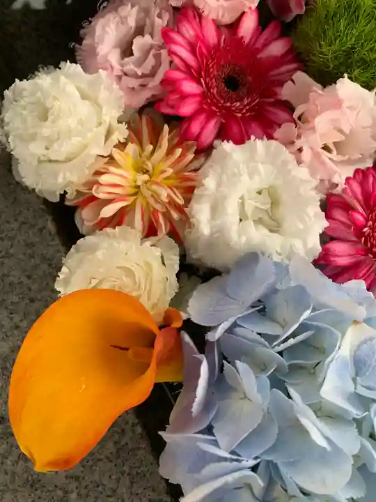 新川皇大神社の手水舎