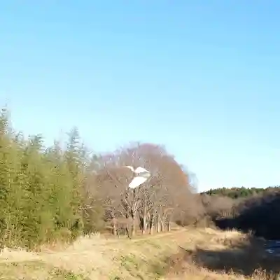 班渓寺の{uncategorized: "未分類", other: "その他", undefined: "問題あり", building: "その他建物", grave: "お墓", sacred_gate: "鳥居", guardian: "狛犬", statue: "像", buddha: "仏像", history: "歴史", nature: "自然", garden: "庭園", animal: "動物", pagoda: "塔", temizu: "手水舎", mountain_gate: "山門・神門", sanctuary: "本殿・本堂", subordinate: "末社・摂社", art: "芸術", scenery: "景色", jizo: "地蔵", ema: "絵馬", goshuin: "御朱印", omikuji: "おみくじ", items: "授与品その他", amulet: "お守り", goshuincho: "御朱印帳", eats: "食事", festival: "お祭り", votive_dance: "神楽", shichigosan: "七五三参", wedding: "結婚式", experience: "体験その他", initially: "初詣", around: "周辺", anti_infection: "感染症対策"}