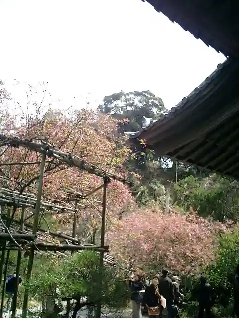 光則寺(神奈川県)