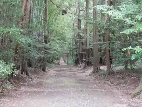 胎安神社の景色