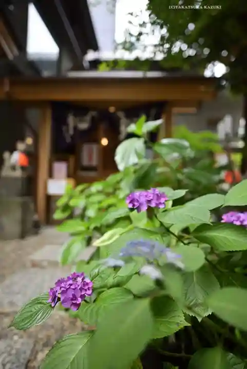 五十稲荷神社(栄寿稲荷神社)(東京都)